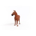 13941_belgian_draft_horse_01.jpg