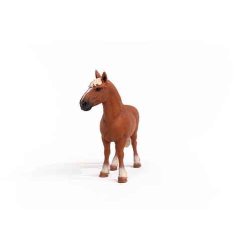 13941_belgian_draft_horse_01.jpg