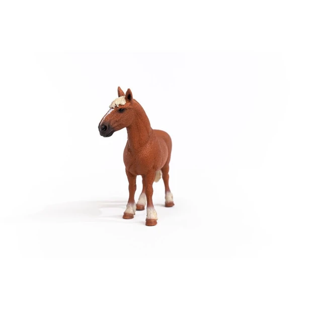 13941_belgian_draft_horse_01.jpg