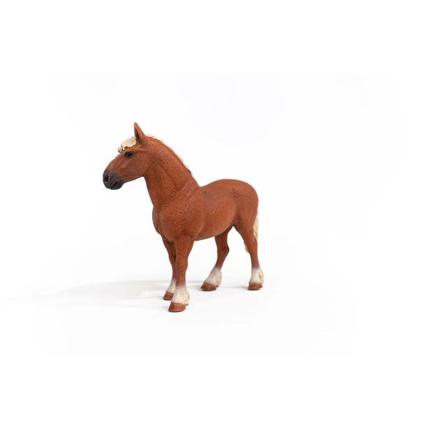 13941_belgian_draft_horse_02.jpg