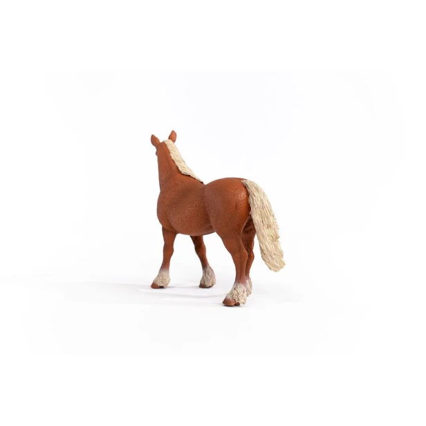 13941_belgian_draft_horse_03.jpg