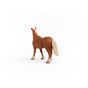 13941_belgian_draft_horse_03.jpg