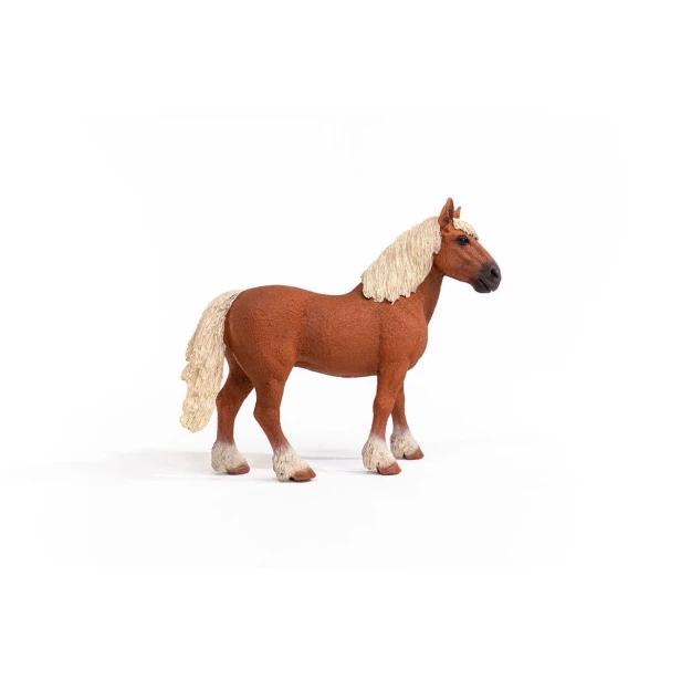 13941_belgian_draft_horse_04.jpg