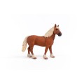 13941_belgian_draft_horse_05.jpg