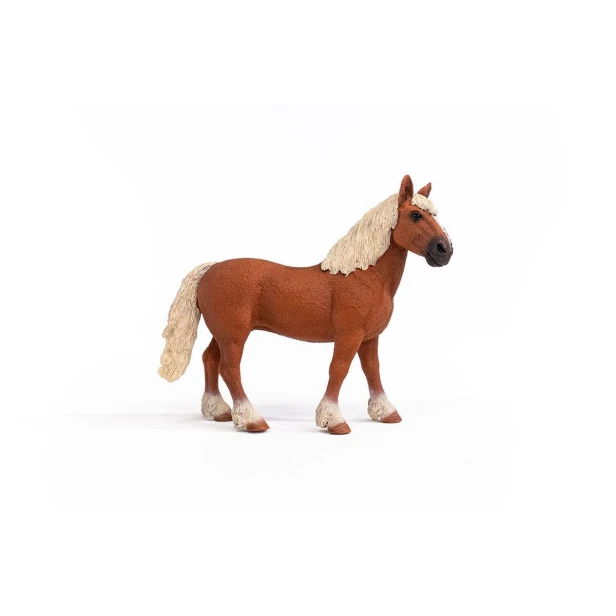 13941_belgian_draft_horse_05.jpg