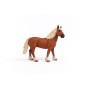13941_belgian_draft_horse_05.jpg