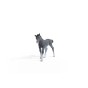 13944_trakehner_foal_05.jpg