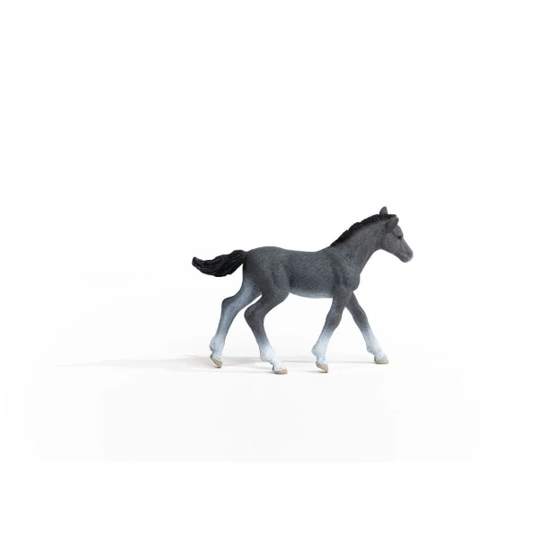 13944_trakehner_foal_01.jpg