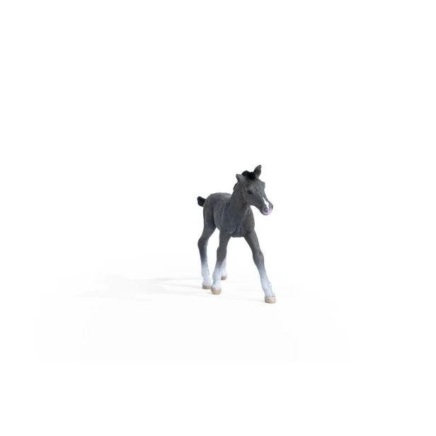 13944_trakehner_foal_03.jpg