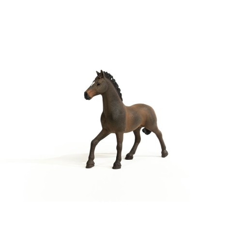 13946_oldenburg_stallion_04.jpg
