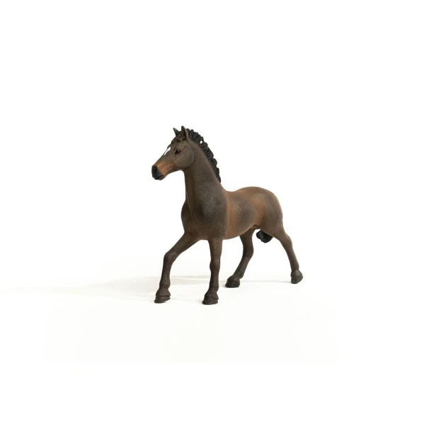 13946_oldenburg_stallion_04.jpg