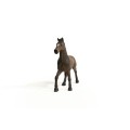 13946_oldenburg_stallion_03.jpg