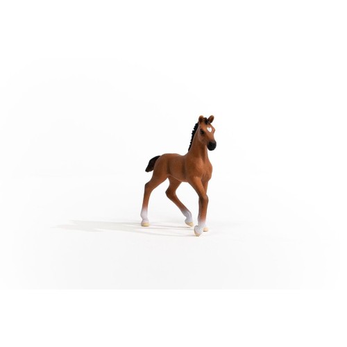 13947_oldenburg_foal_04.jpg