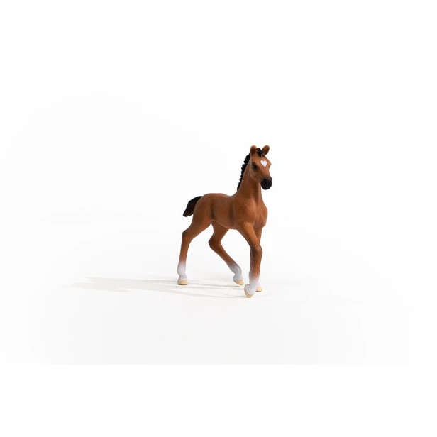 13947_oldenburg_foal_04.jpg