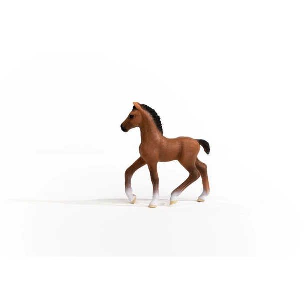 13947_oldenburg_foal_01.jpg