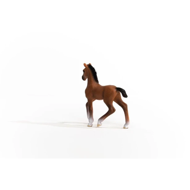 13947_oldenburg_foal_02.jpg