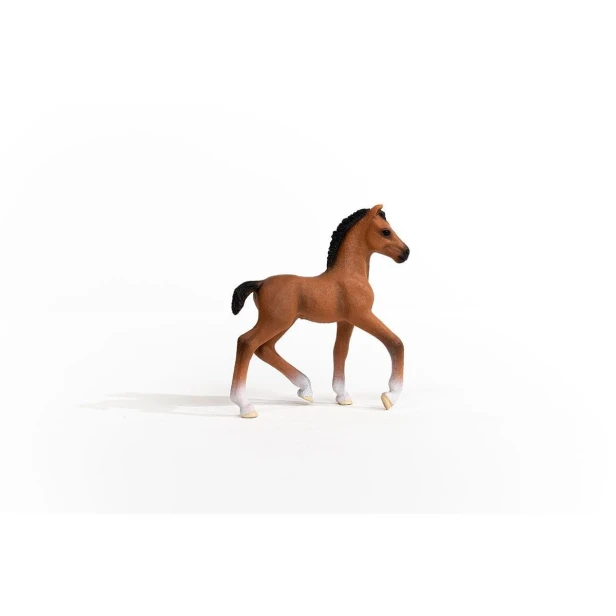13947_oldenburg_foal_03.jpg