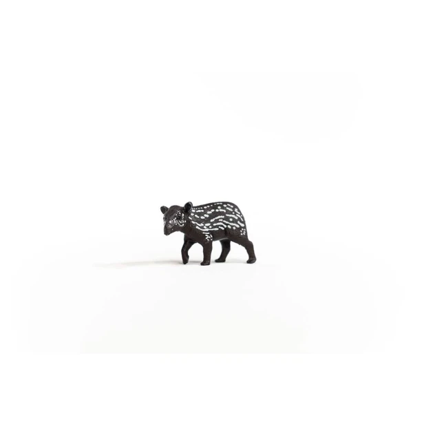 14851_tapir_baby_03.jpg
