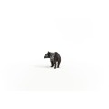14851_tapir_baby_04.jpg