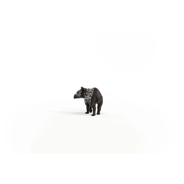 14851_tapir_baby_04.jpg