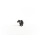 14851_tapir_baby_04.jpg