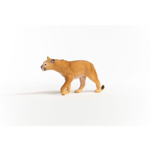 14853_cougar_01.jpg