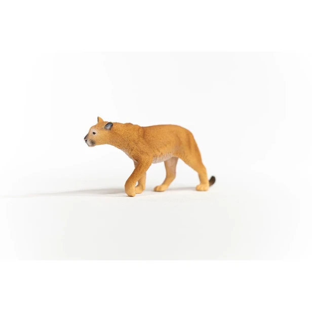14853_cougar_01.jpg