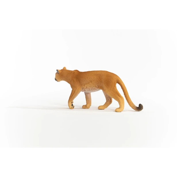 14853_cougar_02.jpg