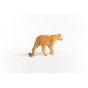 14853_cougar_03.jpg