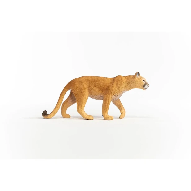 14853_cougar_04.jpg