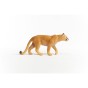 14853_cougar_04.jpg