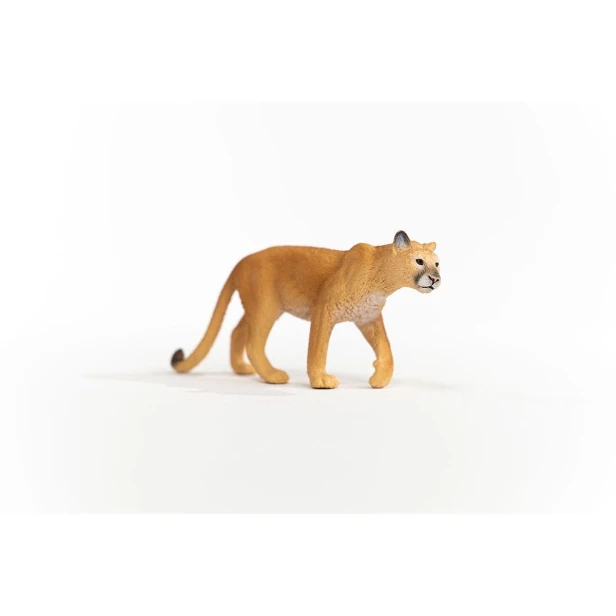 14853_cougar_05.jpg