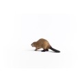 14855_beaver_02.jpg