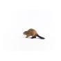 14855_beaver_02.jpg