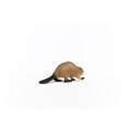 14855_beaver_03.jpg