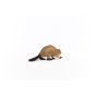 14855_beaver_03.jpg