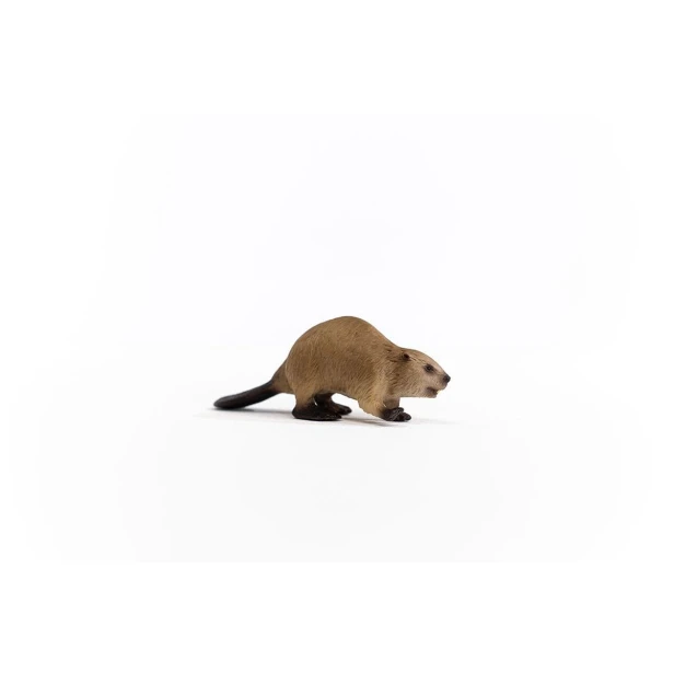 14855_beaver_04.jpg
