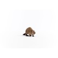 14855_beaver_05.jpg