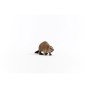 14855_beaver_05.jpg