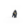 14856_mandrill_06.jpg