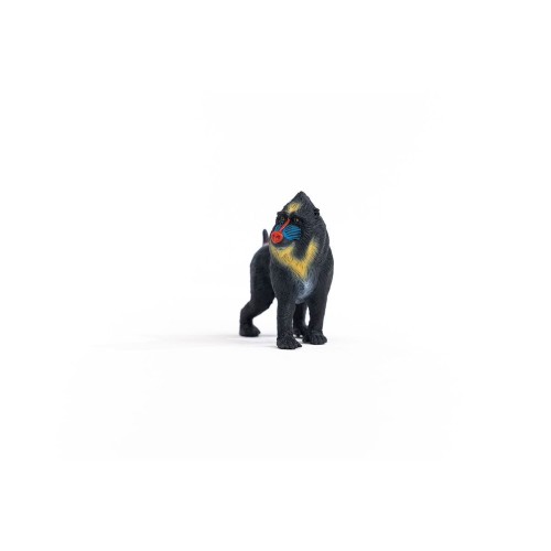 14856_mandrill_06.jpg