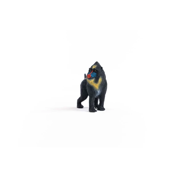 14856_mandrill_06.jpg