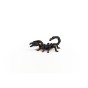 14857_emperor_scorpion_01.jpg