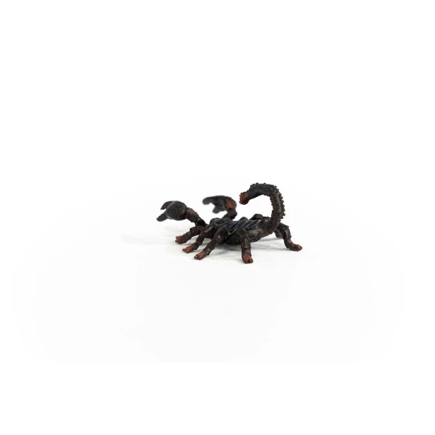 14857_emperor_scorpion_02.jpg
