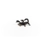14857_emperor_scorpion_02.jpg