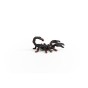 14857_emperor_scorpion_03.jpg