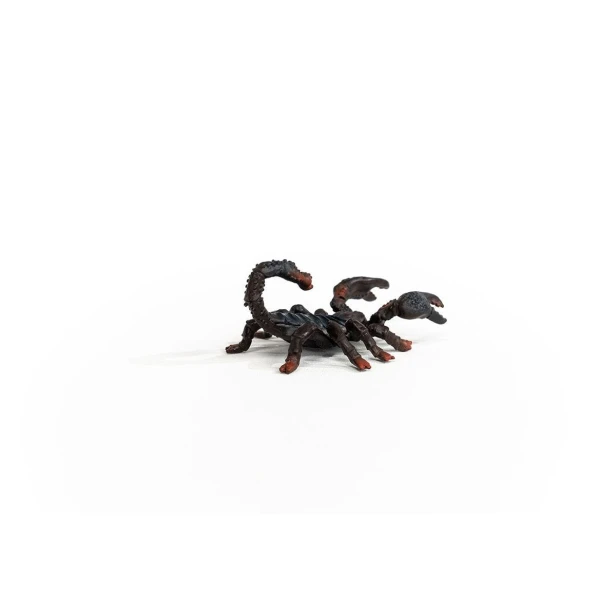 14857_emperor_scorpion_04.jpg