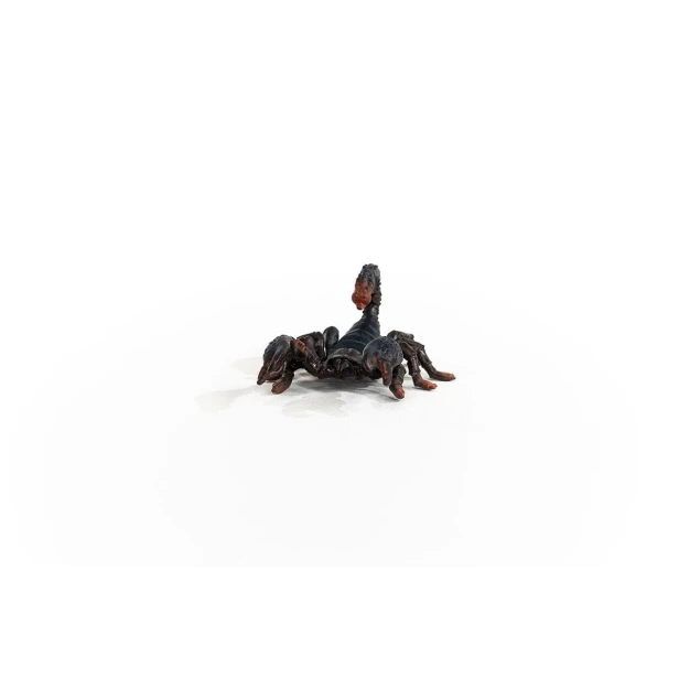 14857_emperor_scorpion_07.jpg
