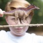 15029_amargasaurus_2_1200x1200_1.jpg