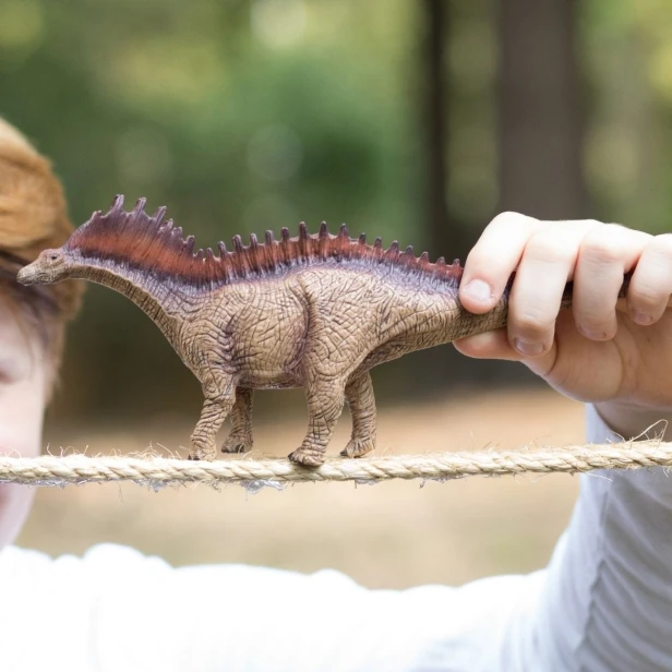 15029_amargasaurus_3_1200x1200_1.jpg
